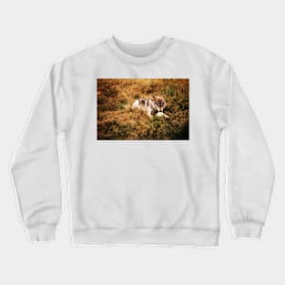 Who`s afraid of the big bad wolf? Crewneck Sweatshirt